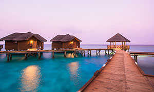 1-210419224S00-L.jpg